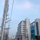 성진횟집-곤지곤지 이미지