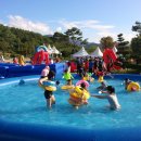 허브밸리(축제장) 이미지