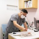 포일동물병원 이미지