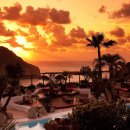 환상의섬 이미지