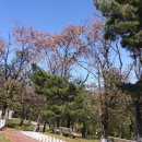 선산(창원) 이미지