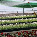 백양산 양묘장 이미지