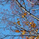 초등 감성미술 이미지