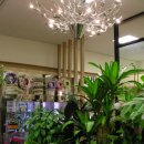 우리화원 이미지