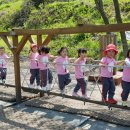 서천초병설유치원 이미지