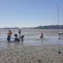 맘빌리지 이미지