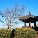 신정행정사 사무소 이미지