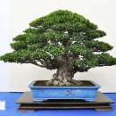 중화고등학교 이미지