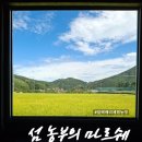 만남농장 | 탄탄남해 만남의 장소 : 섬농부의 마르쉐 : 남해 아이와 가볼만한 곳 : 블랙베리농장
