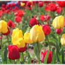 김은경미용실 이미지