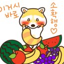 카페피어나 이미지