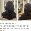 헤어.이오 | 이오헤어 민정원장님 C컬 레이어드펌 후기 ✨