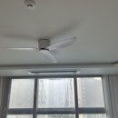대구에어컨청소초록숲홈케어 | 대구 동구 에어컨 청소 초록숲홈케어 달서점 시스템에어컨 분해청소