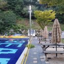 베어스 캠프