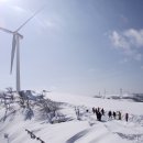 성유목장 이미지