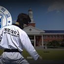 대우태권도 이미지