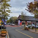 김상천 | 옛동무들, APEC이 끝난 경주 나들이