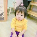 재유주