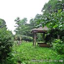 두지리 마을회관 이미지