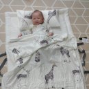 엄지어린이집 이미지