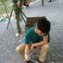 알프스캠핑장 이미지