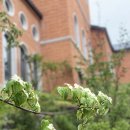 최신 판례 - 대구이혼전문변호사 강정한 수행(2심) 판결 - 🧨 유책배우자도 이혼할 수 있을까? - 1심 청구 인용, 2심 청구 기각 이미지