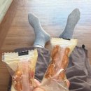이동태 | 칭다오 여행 이후... 백수의 삶... 모음...