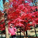 006-운정1-006 이미지