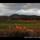 정감목장 이미지