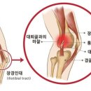 민죠이짐비산