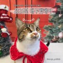 광동한방사료㈜ | [서포터즈] 2026년 대구펫페어 이벤트 총정리 (feat. 공짜 간식/사료 받는 법)