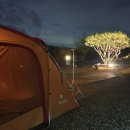 물왕숲캠핑파크 이미지