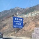 씨유 분당이매골드점 | 4월 2-3주차 주간일기: 말있죠? 먹는 게 남는 거라는 말.