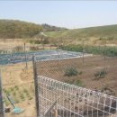 신평1리마을회관 이미지