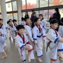 맑은누리태권도 이미지