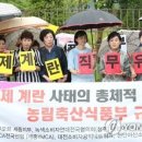 충청계란