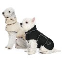 꼬모의 산책 이미지