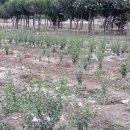 내곡농장 이미지