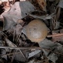 횡성 호수길 1구간 이미지