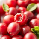 케겔프로 | BN01 요습관 효능 내돈내산 후기 보러가기