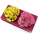 예쁜여우 이미지