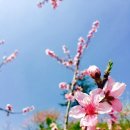 청풍한옥민박 이미지