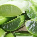 이뮨케어 이미지