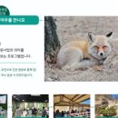 여우감자탕 이미지