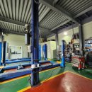 빙고카랜드 이미지