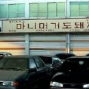 술푸마 이미지