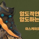 인듀어