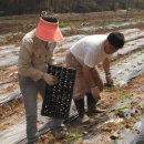 상순농장 이미지