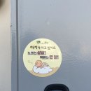한번 돼지는 영원한 돼지^^