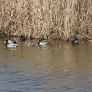 강서체육공원 이미지